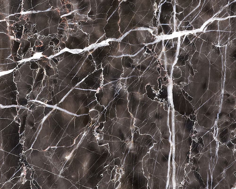 Champange Grey — natural stone slab for custom countertops and tables
